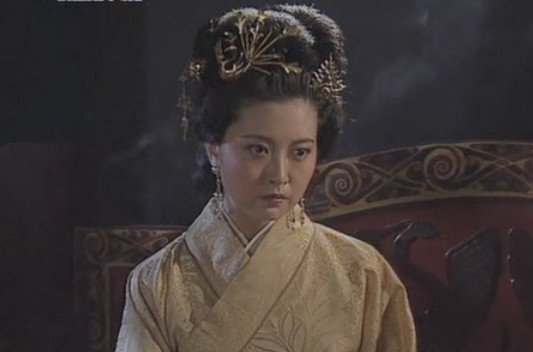 大将军何进和车骑将军何苗的妹妹,汉灵帝刘宏第二任皇后,汉少帝刘辩的