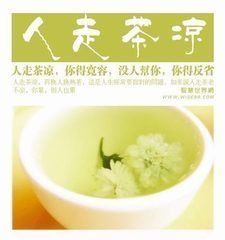 人走茶凉