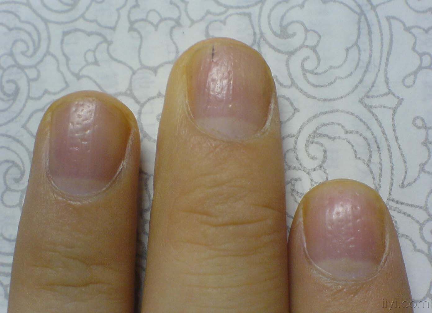 月牙白锦袍新消息评论